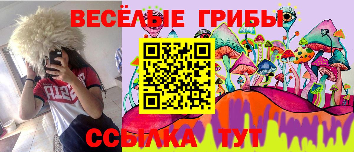 Галлюциногенные грибы прущие грибы  Вход с VPN  Тихвин 