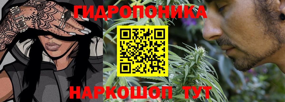 МАРИХУАНА Bruce Banner  Вход с VPN  Тихвин  Канабис сатива  Бошки марихуана Amnesia 